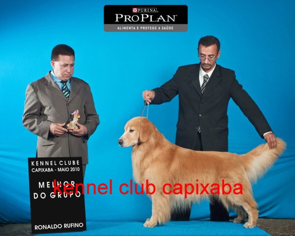 Clique sobre a foto para fechar